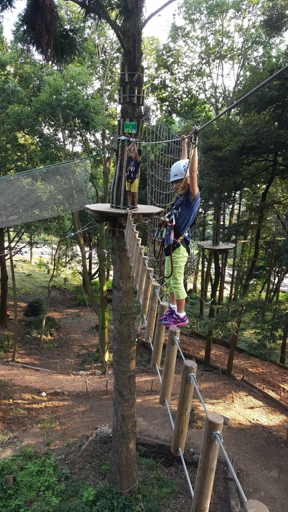 2017/09/041c8e89b678b46731ac2144bc87c2e7.jpg