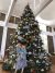 2018/01/IMG_4584.jpg