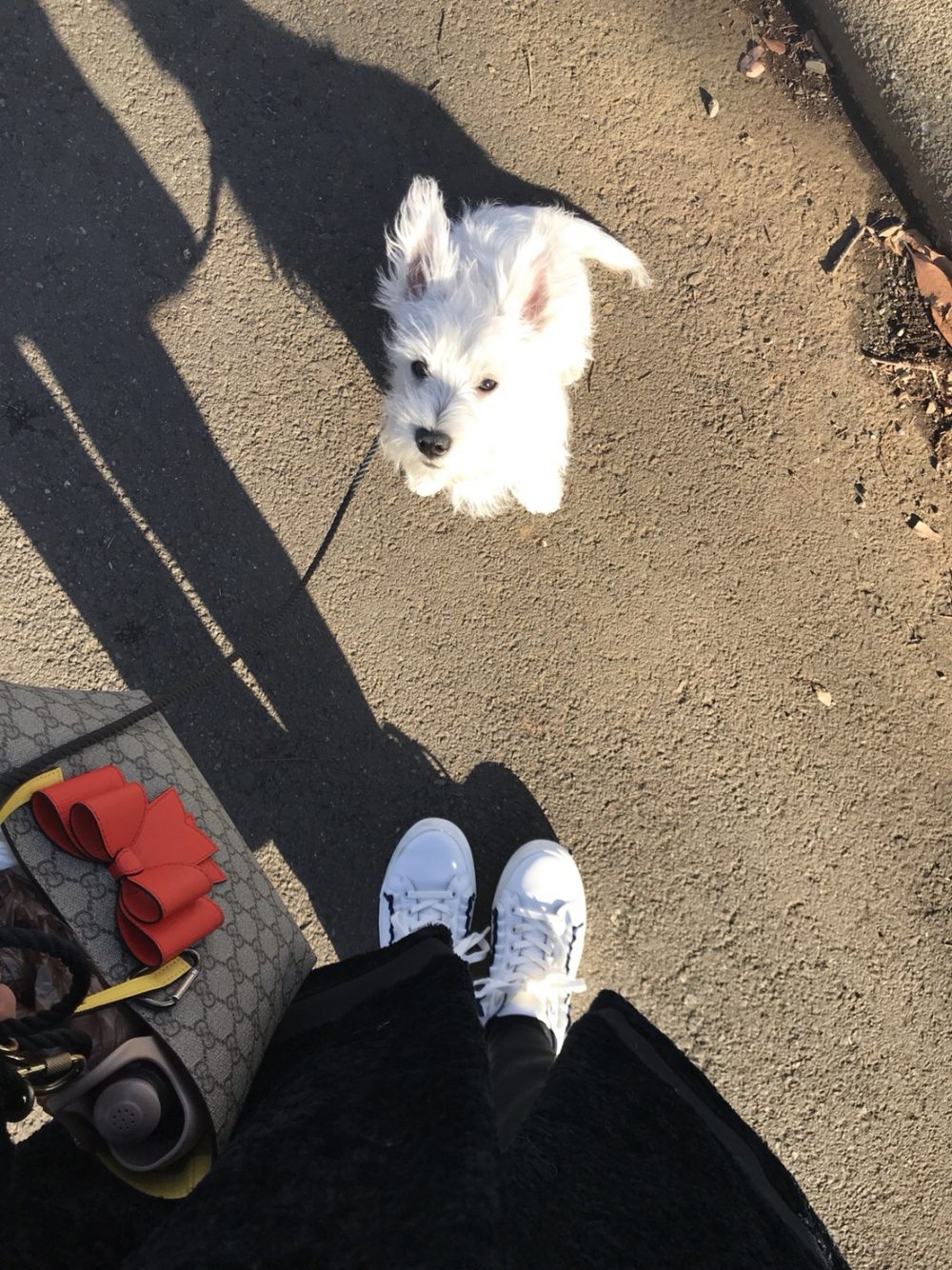 2018/01/S__44433469.jpg