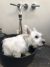 2018/01/S__44433473.jpg
