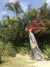 2018/04/unnamed-7.jpg