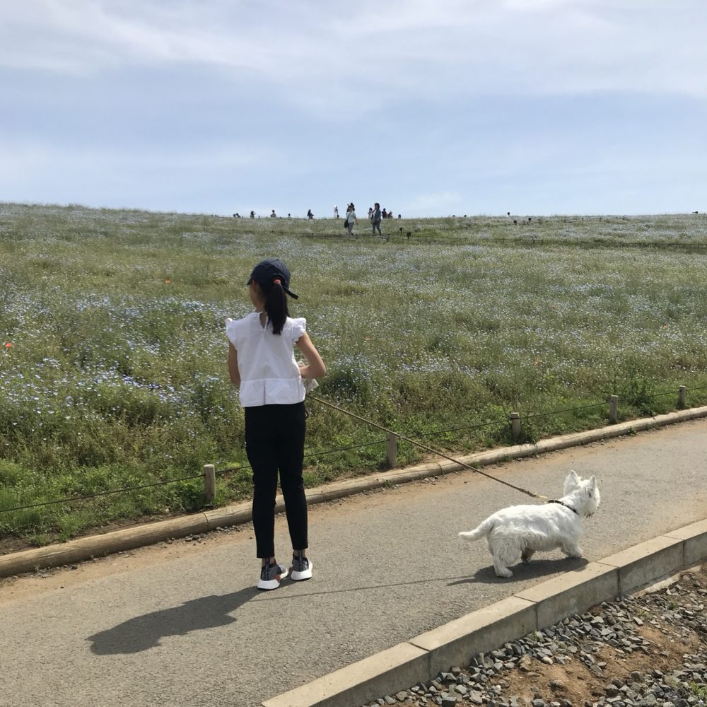 2018/05/04d89674ebb3a224dafd5cb272f47b3c.jpg
