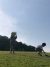 2018/05/IMG_2729.jpg