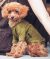 2018/06/VERY_201807_199-004.jpg