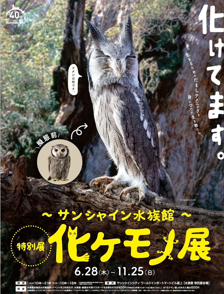 2018/07/795316b92fc766b0181f6fef074f03fa.png