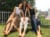 2018/07/889141f38646fc0622b89386a505da45.jpg