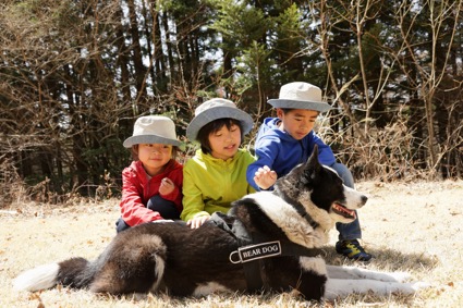 2018/08/kuma02.jpg