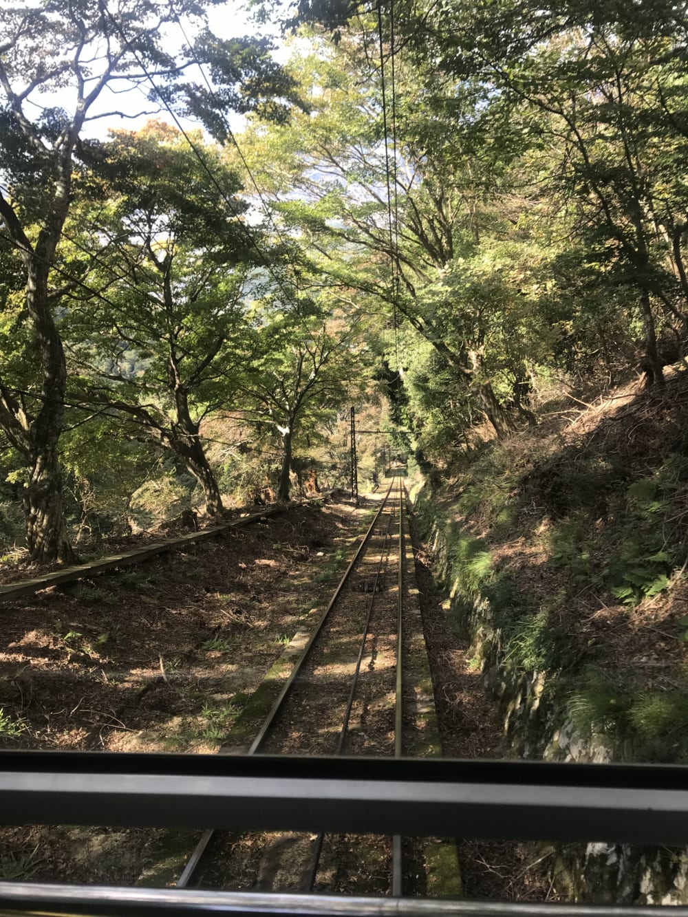 2018/10/IMG_0278-e1540958758114.jpg