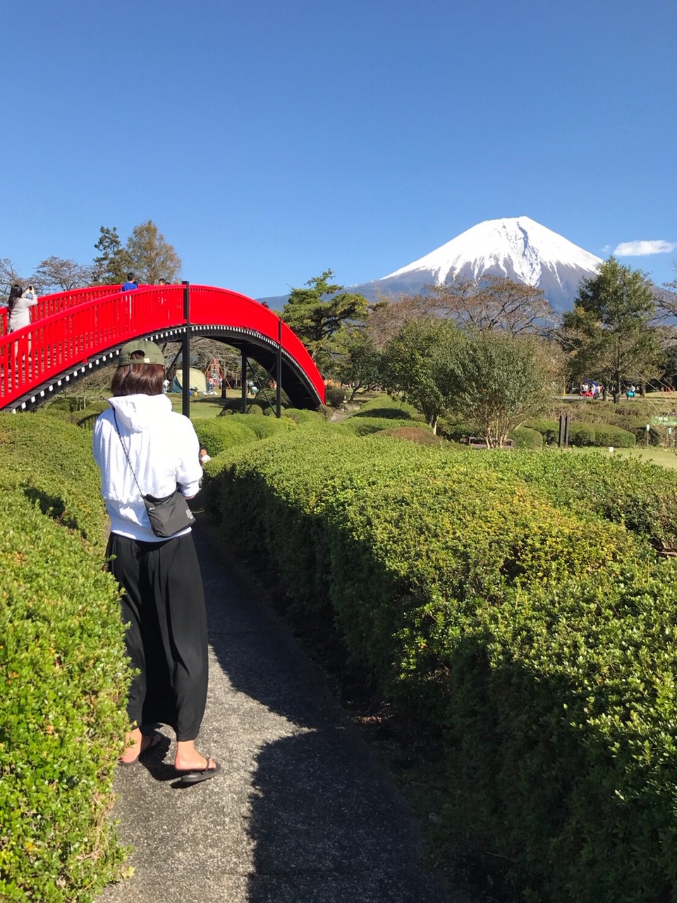 2018/10/image3-1.jpeg