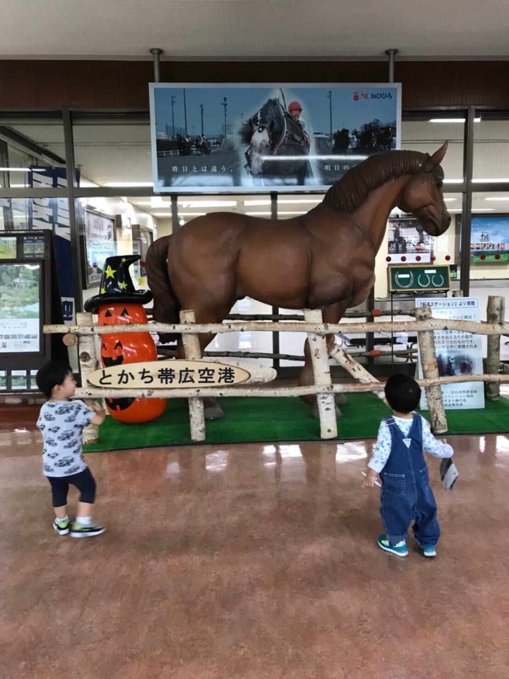 2018/11/Very-blog-new_181113_0007.jpg