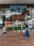 2018/11/Very-blog-new_181113_0007.jpg