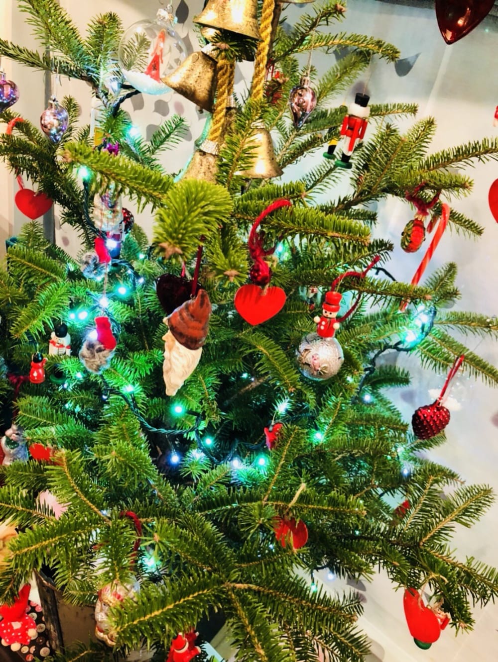 2018/12/4f3b56717492afbff66cb681f3fd0da6.jpg