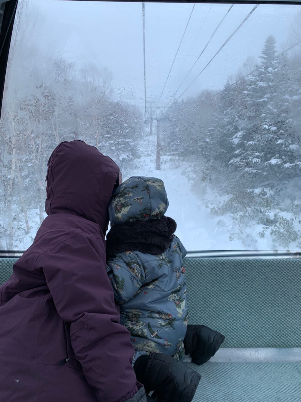 2019/01/cc2b07272a05769382e05ac04b4c51be-e1547544650441.jpeg