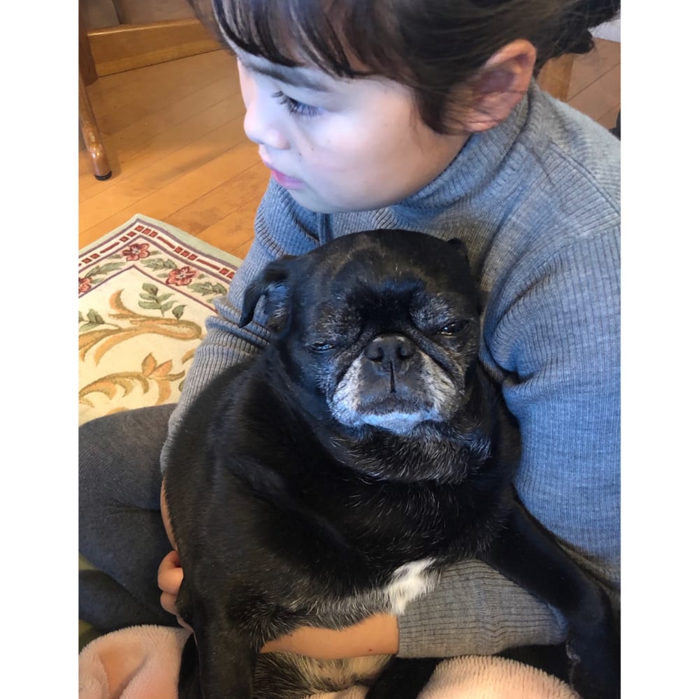 2019/01/image9.jpeg