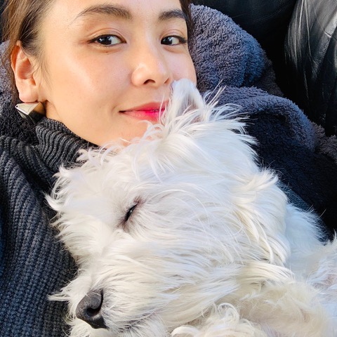 2019/02/de21f9a5e8796b2df4170dad1cb9abea.jpeg