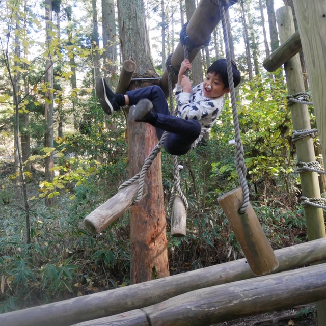 2019/03/image4.jpeg