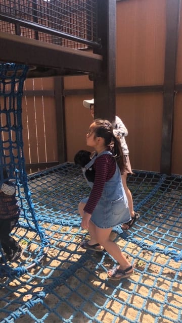 2019/04/image4-e1554878563947.jpeg