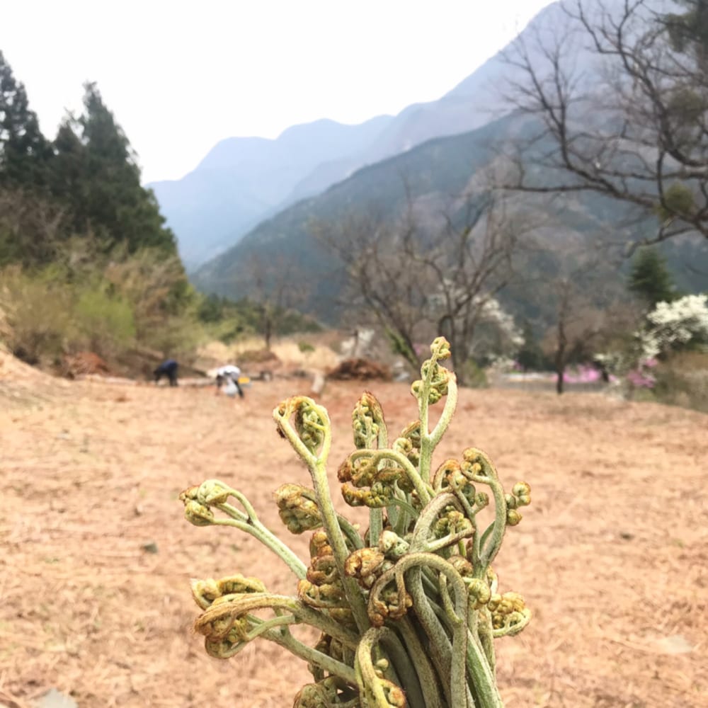 2019/05/IMG_6978.jpeg