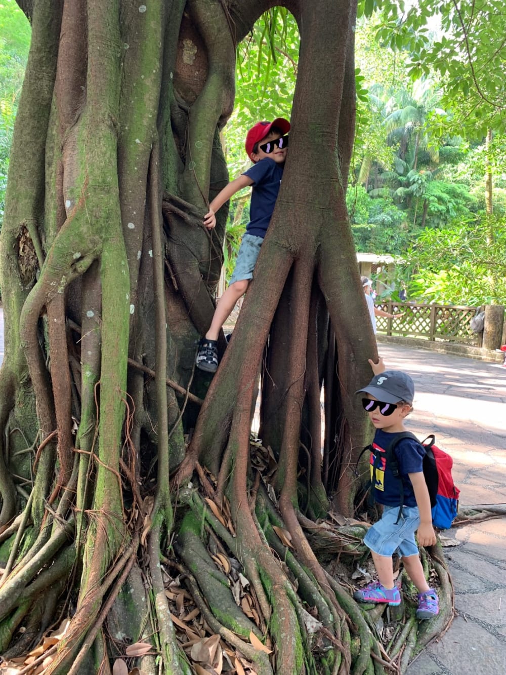 2019/06/IMG_6716.jpg