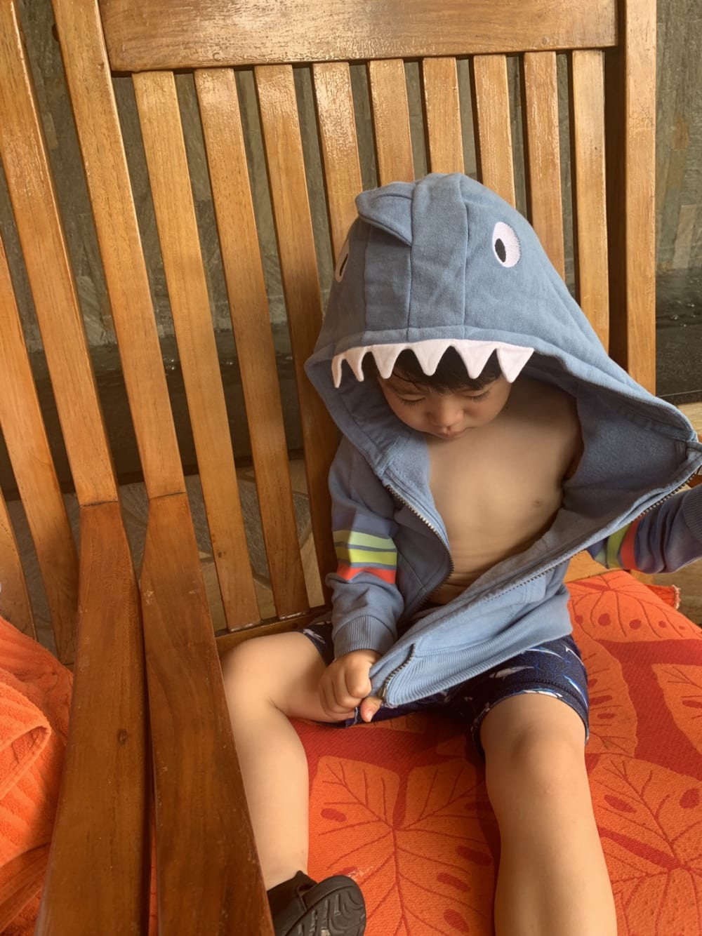 2019/07/S__3260494.jpg