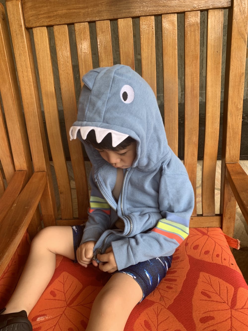 2019/07/S__3260495.jpg