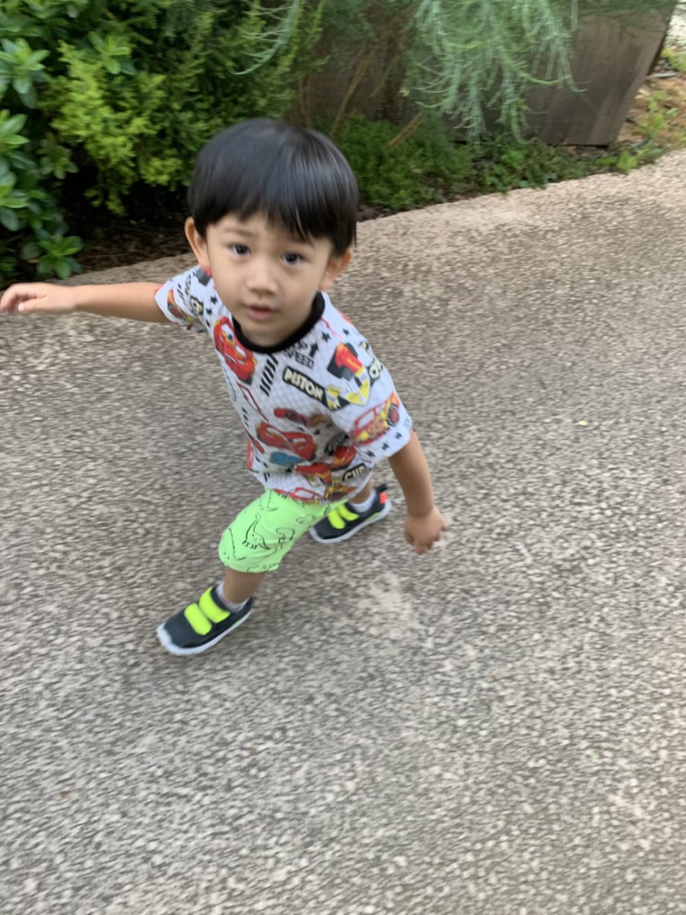 2019/07/S__3260497.jpg