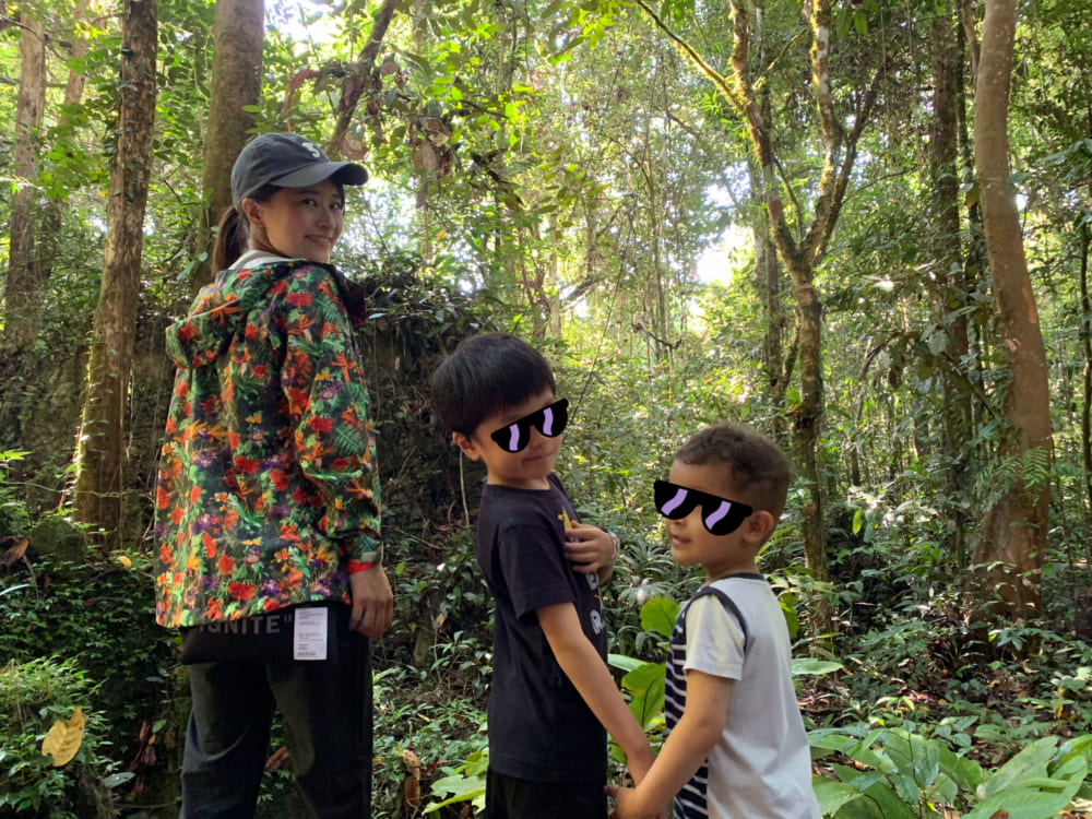 2019/09/jungle.jpg