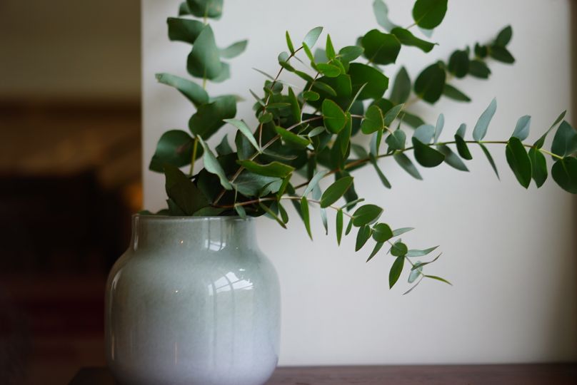 2019/10/DSC07862.jpg